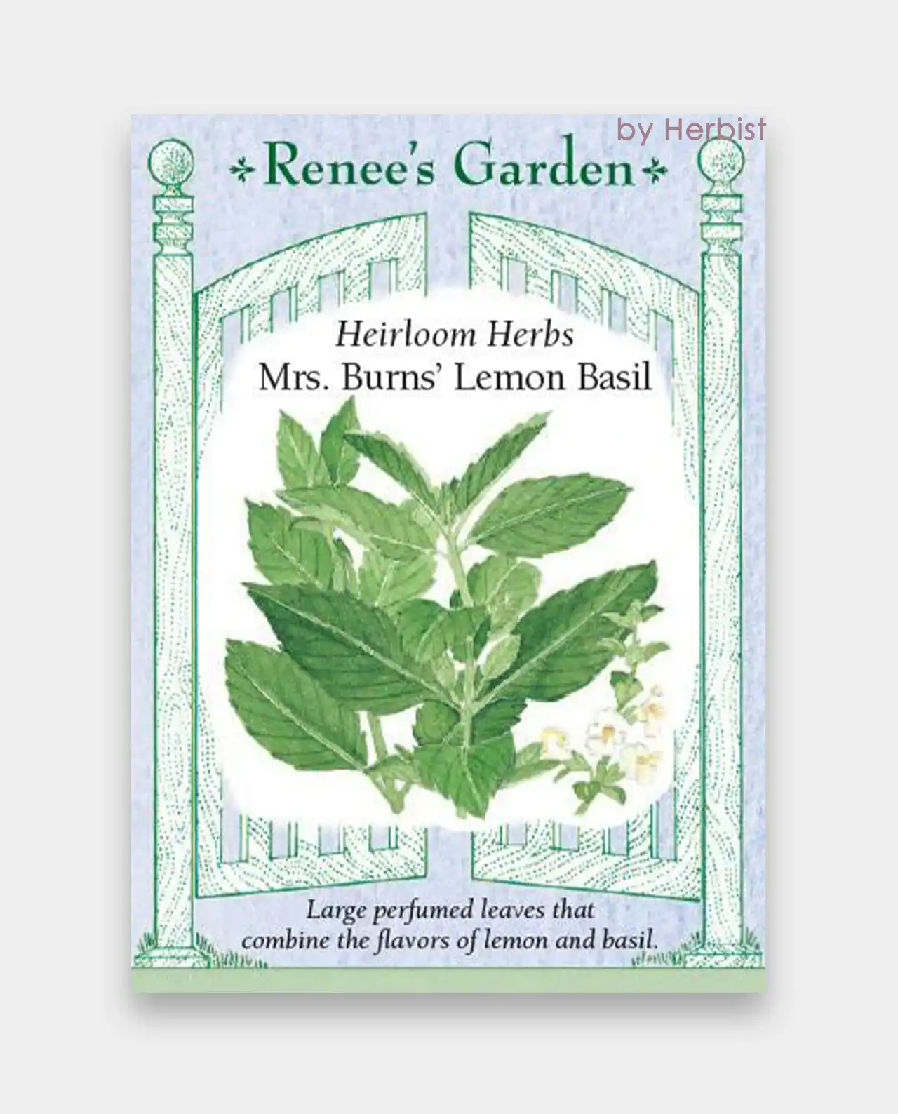 เบซิล Mrs. Burns' Lemon Basil