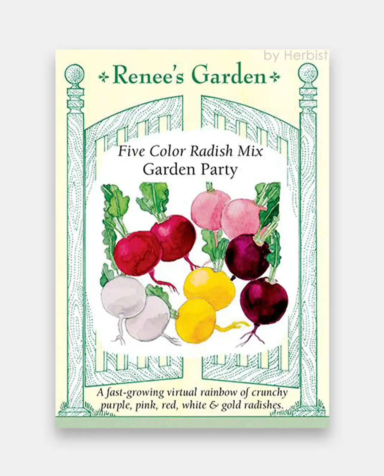 แรดิช Radish Mix Garden Party