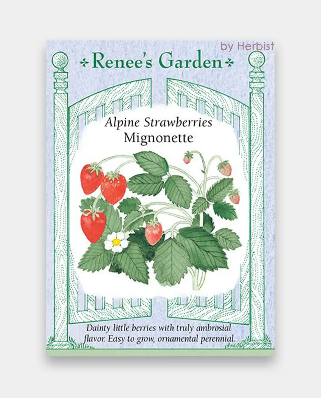 สตรอว์เบอร์รี Strawberries Mignonette