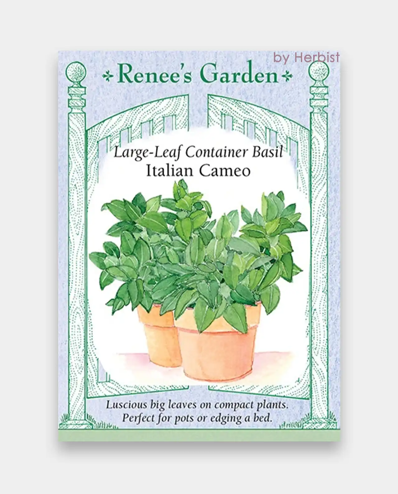 เบซิล Basil Italian Cameo