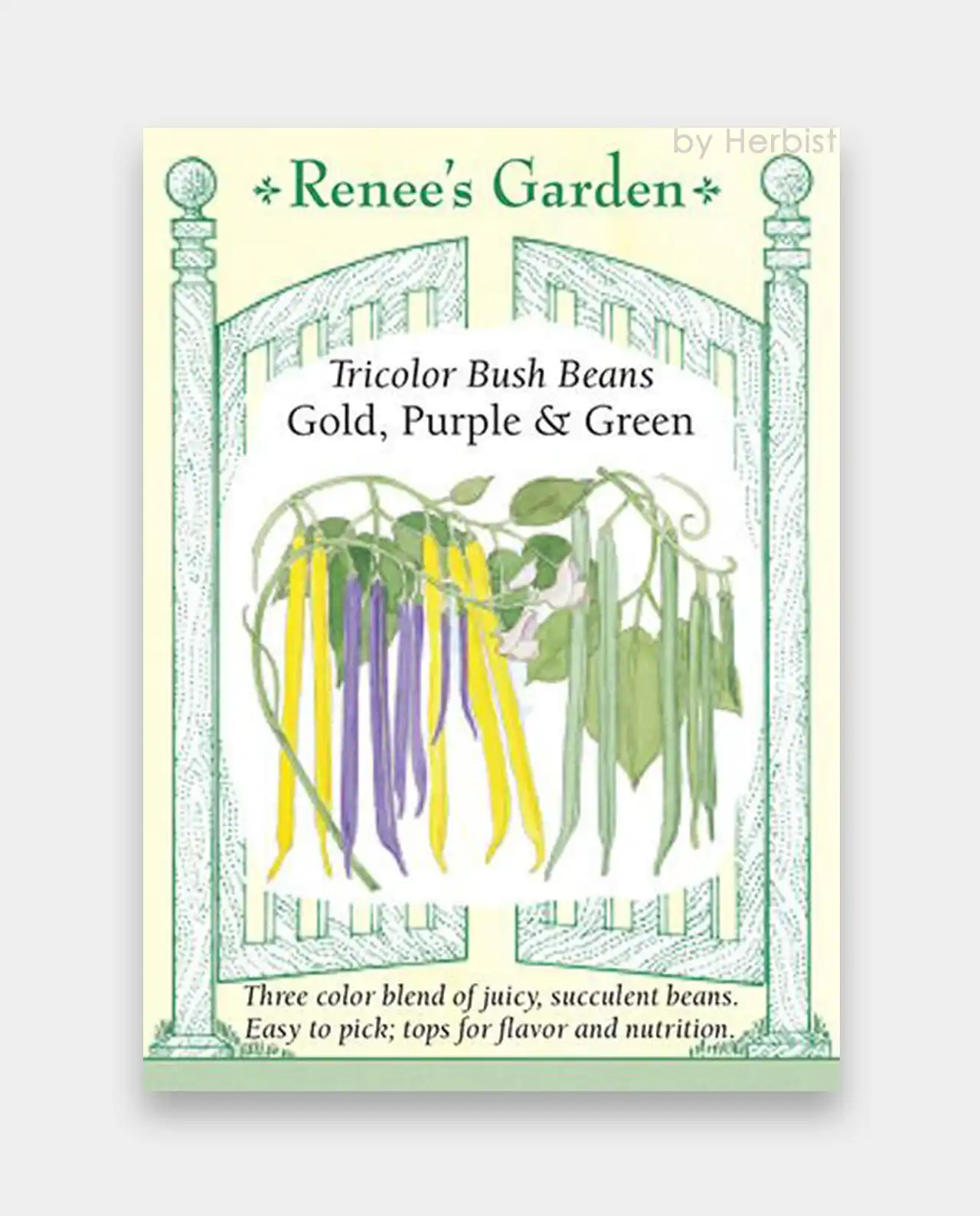 ถั่วพุ่ม Bush Beans Gold, Purple & Green
