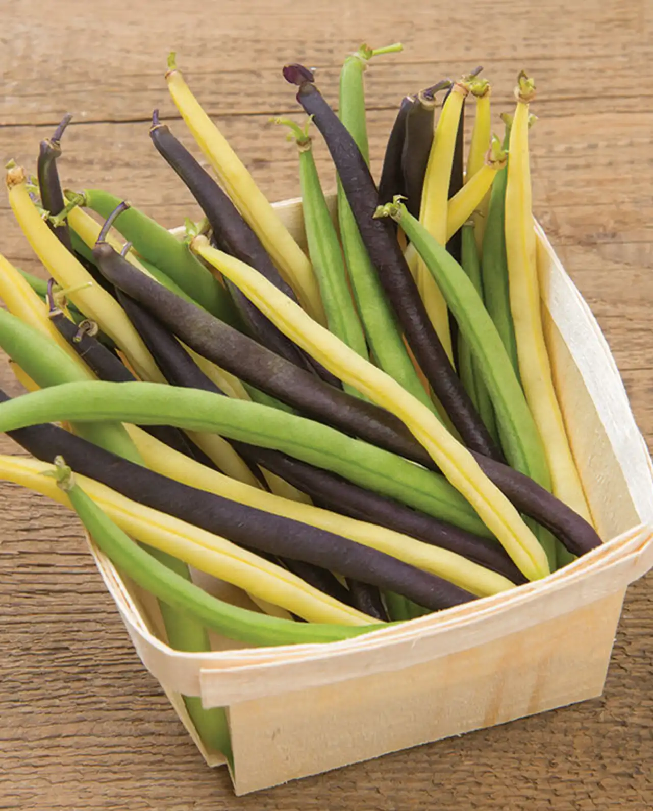 ถั่วพุ่ม Bush Beans Gold, Purple & Green