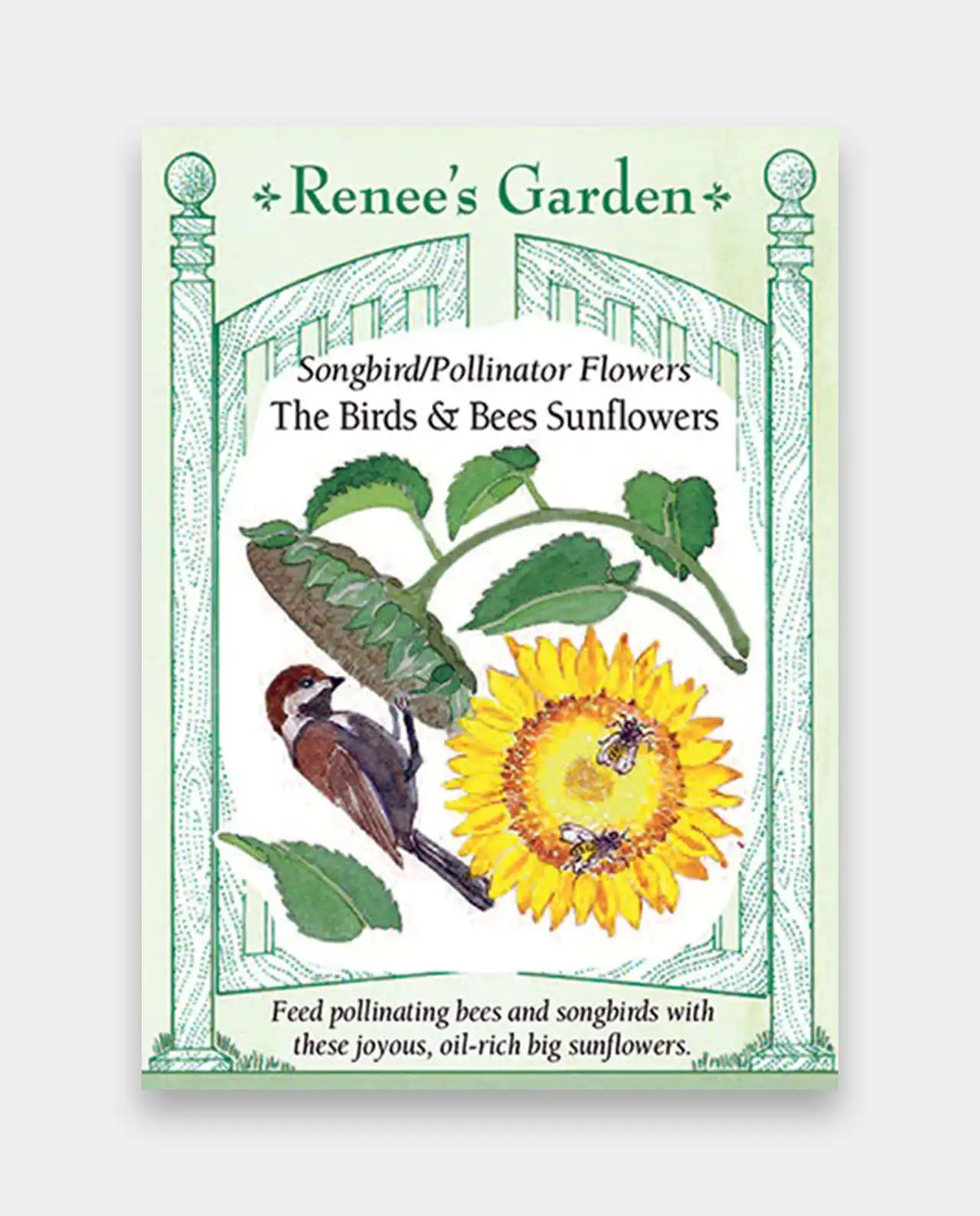 ดอกทานตะวัน The Birds & Bees Sunflowers