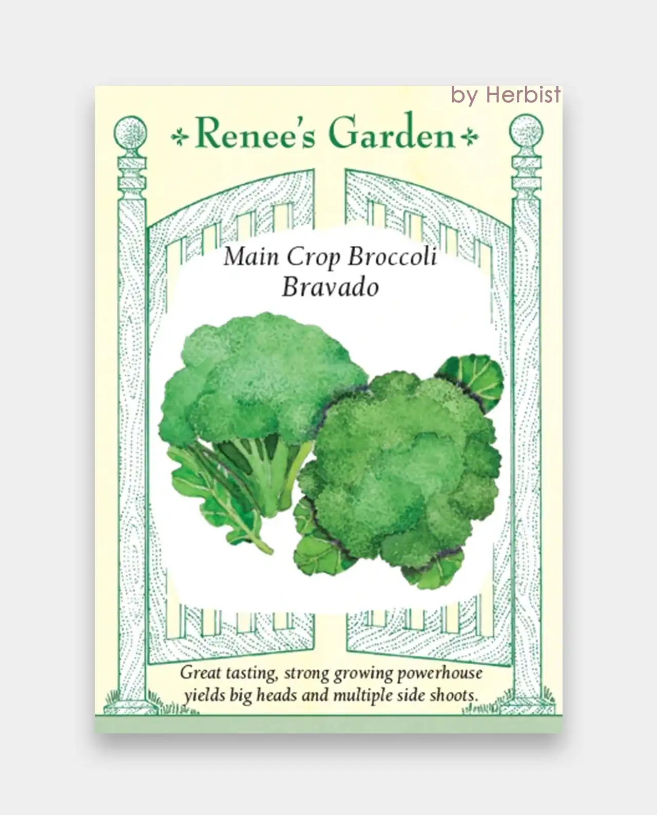 บรอกโคลี Main Crop Broccoli Bravado