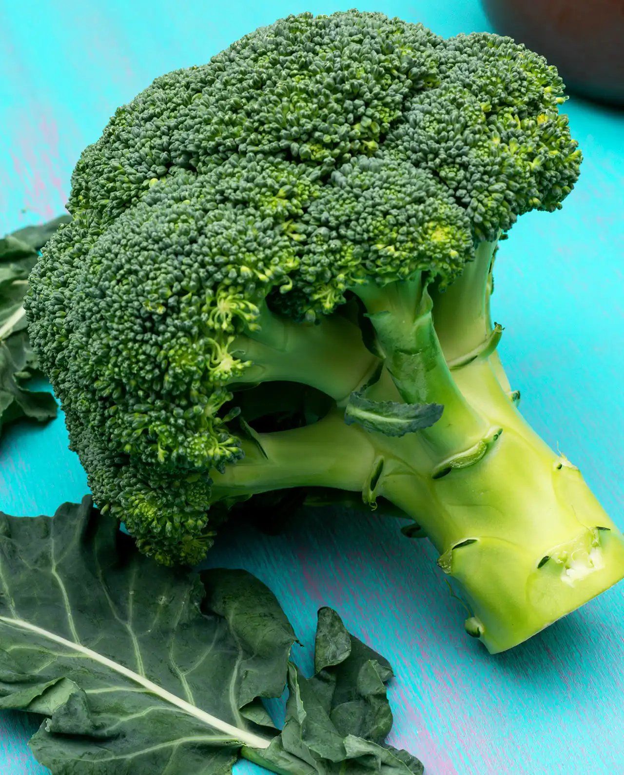บรอกโคลี Main Crop Broccoli Bravado
