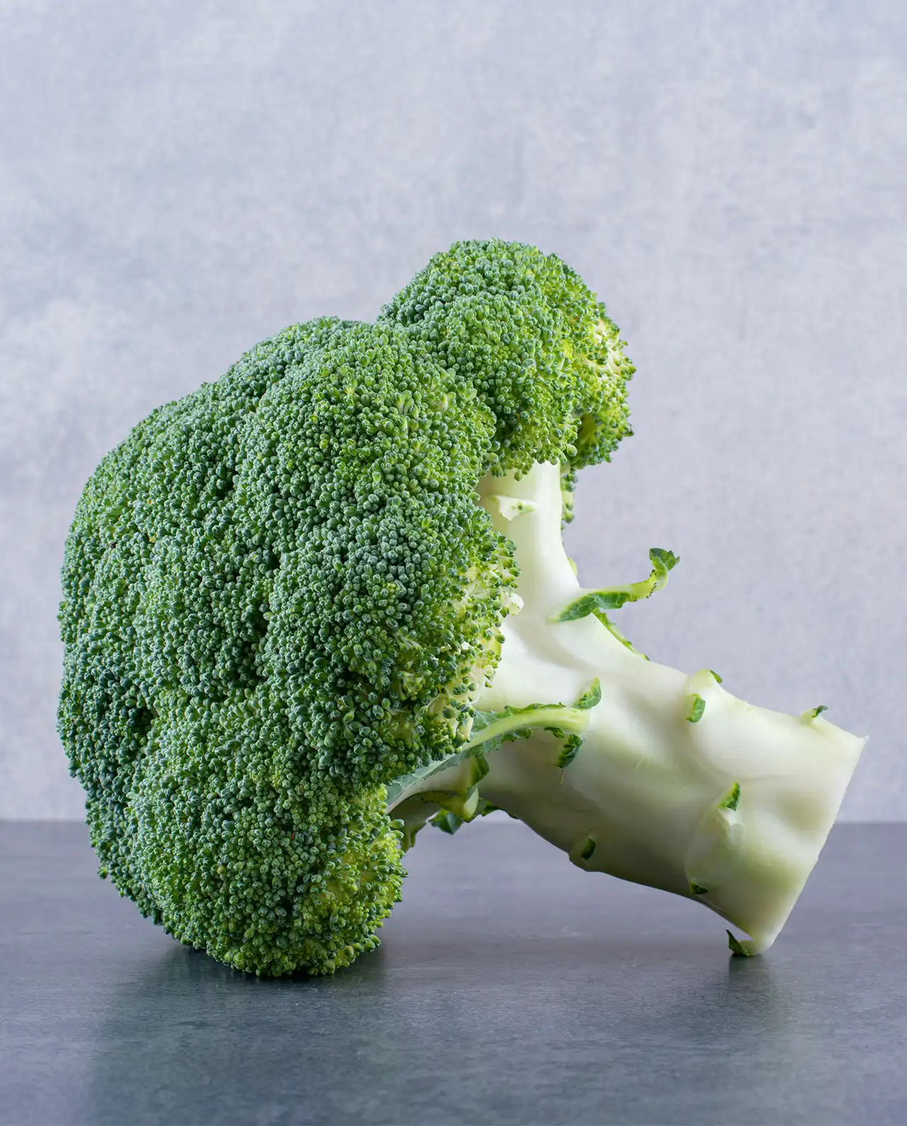 บรอกโคลี Main Crop Broccoli Bravado