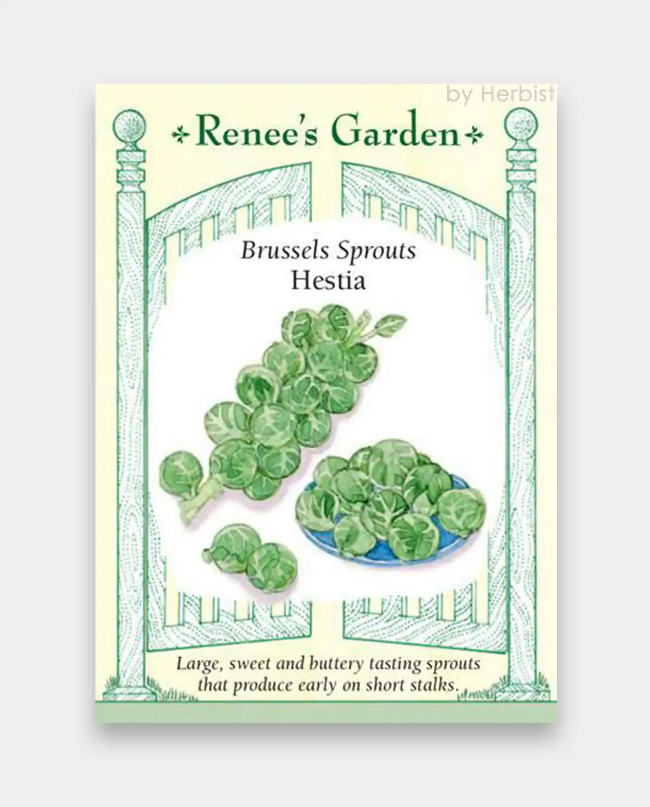 กะหล่ำดาว Brussels Sprouts Hestia