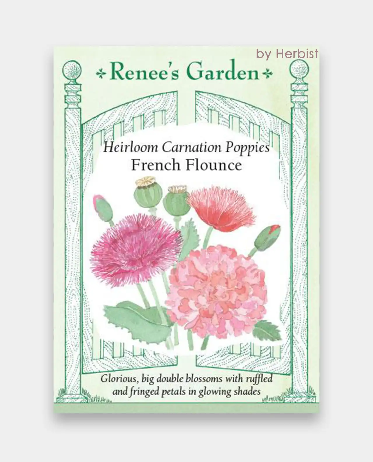 ป๊อปปี้ Carnation Poppies French Flounce