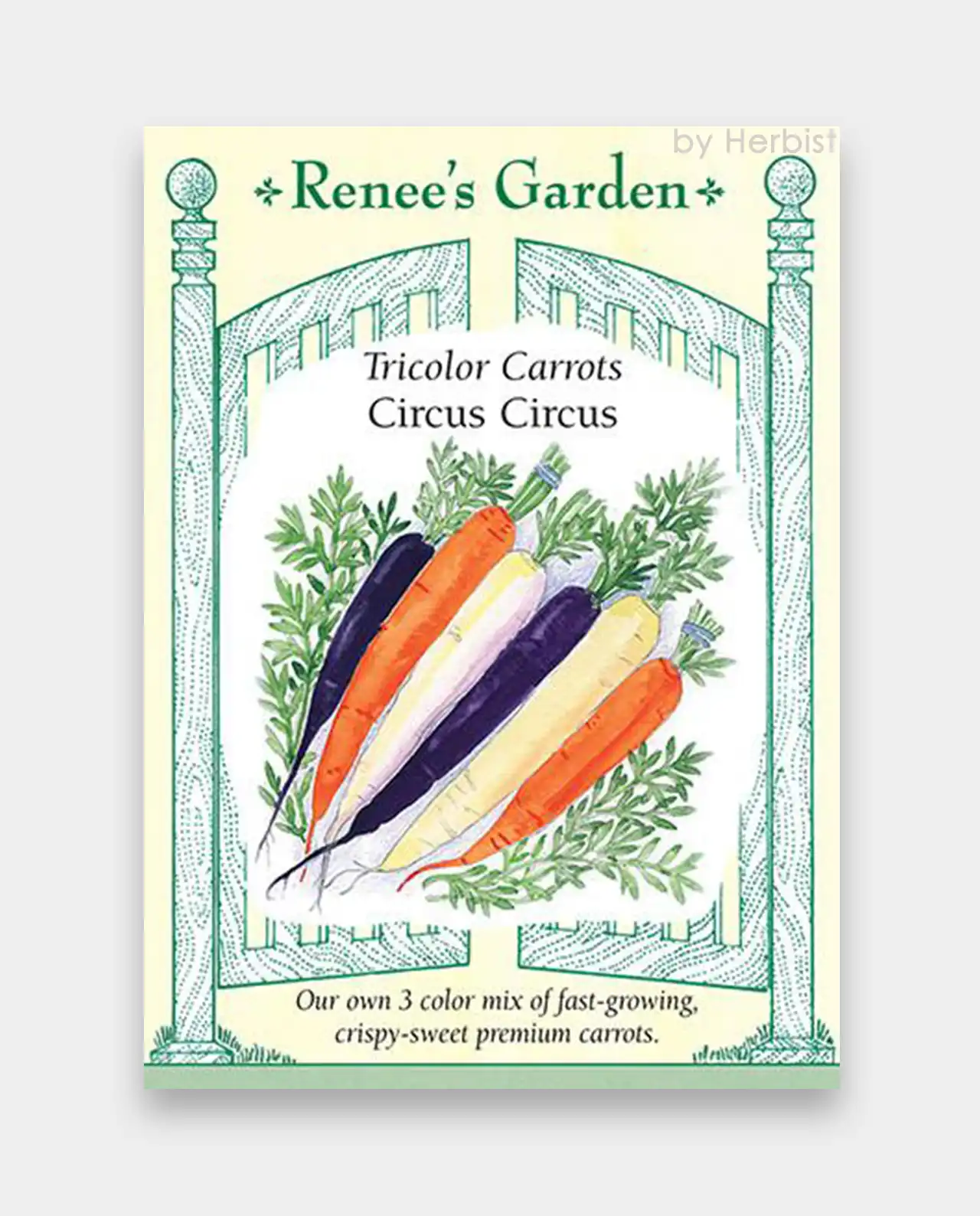 แครอท Tricolor Carrots Circus Circus