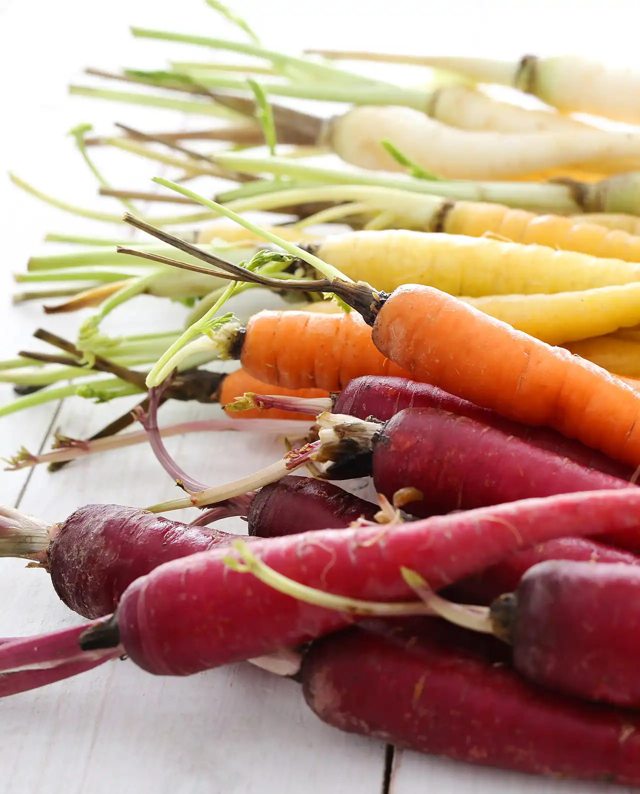 แครอท Harlequin Mix Rainbow Carrots