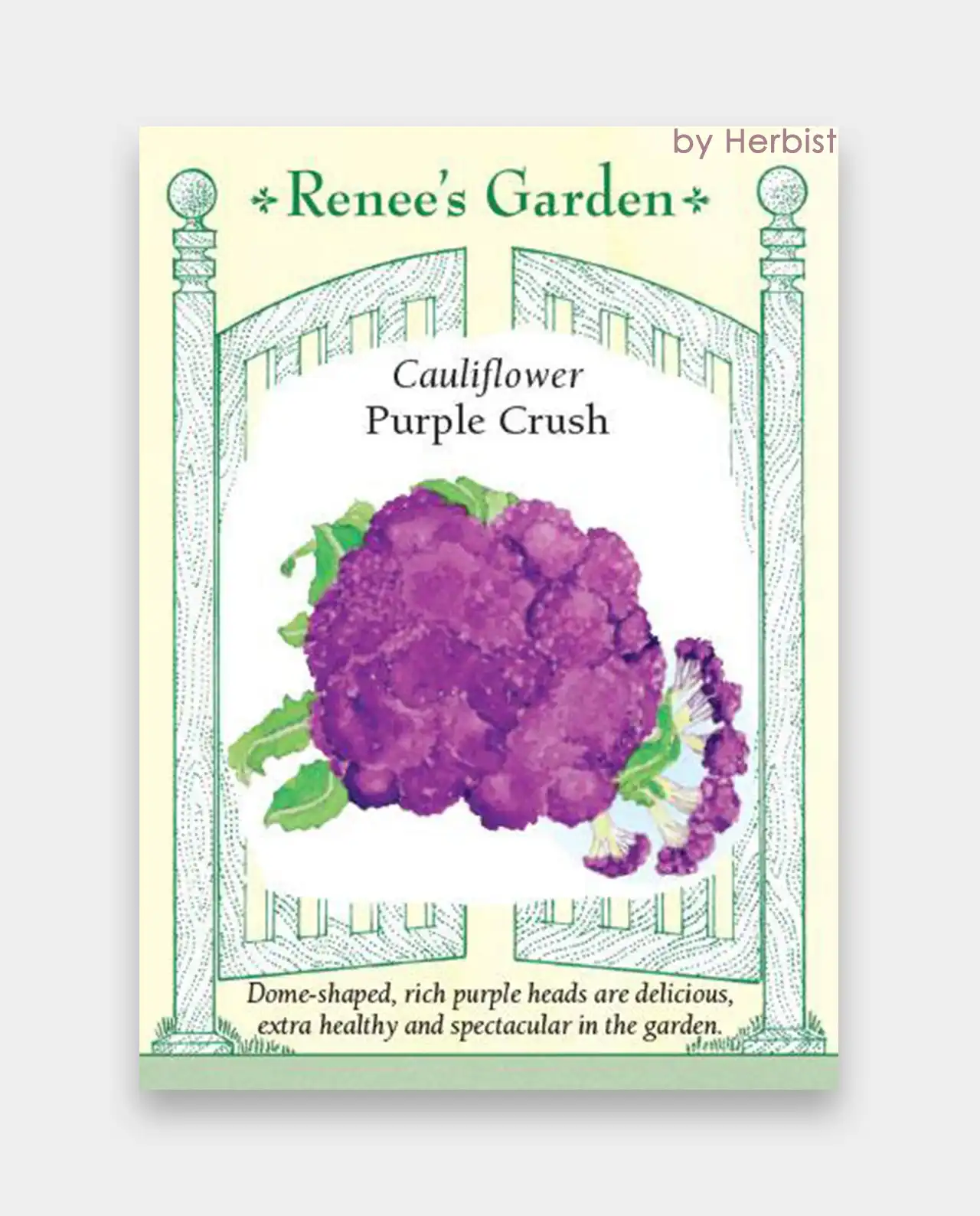 คอลิฟลาวเวอร์ Purple Crush Cauliflower