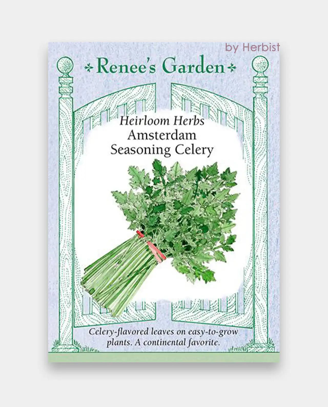 เซเลอรี่ Amsterdam Seasoning Celery