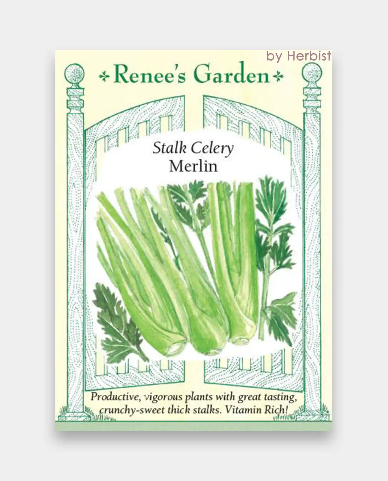 เซเลอรี่ Merlin Stalk Celery