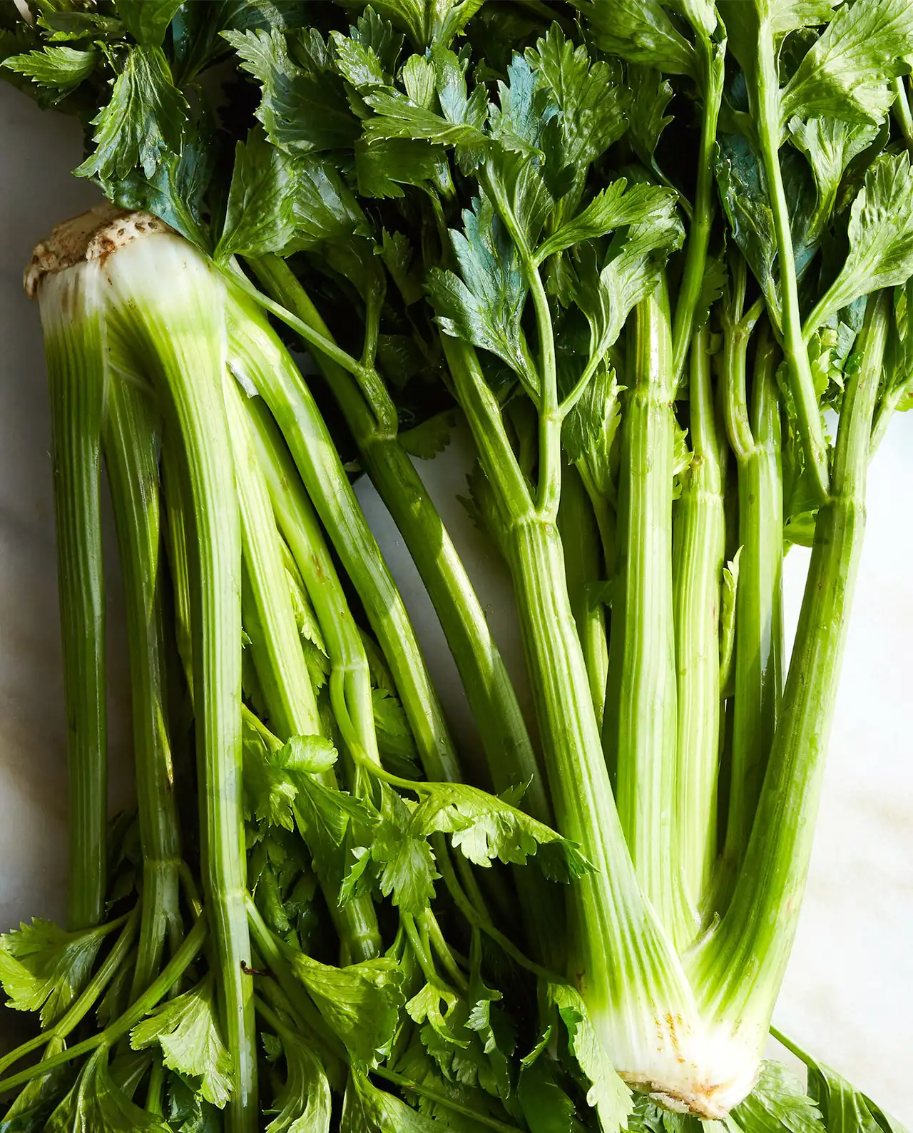 เซเลอรี่ Merlin Stalk Celery