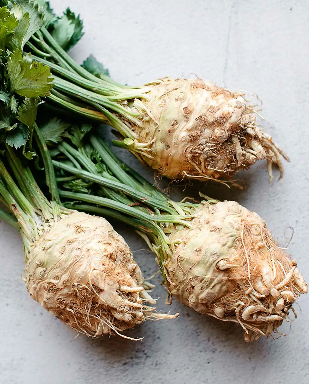 หัวขึ้นฉ่ายฝรั่ง Celery Root Prinz