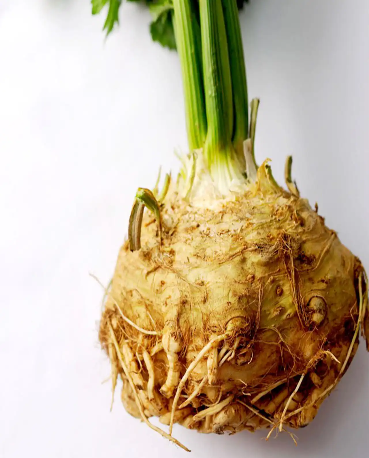 หัวขึ้นฉ่ายฝรั่ง Celery Root Prinz