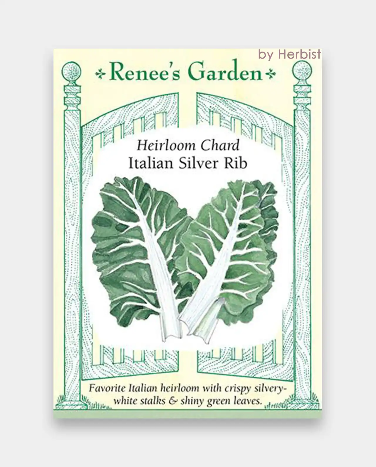 ชาร์ด Italian Silver Rib Heirloom Chard