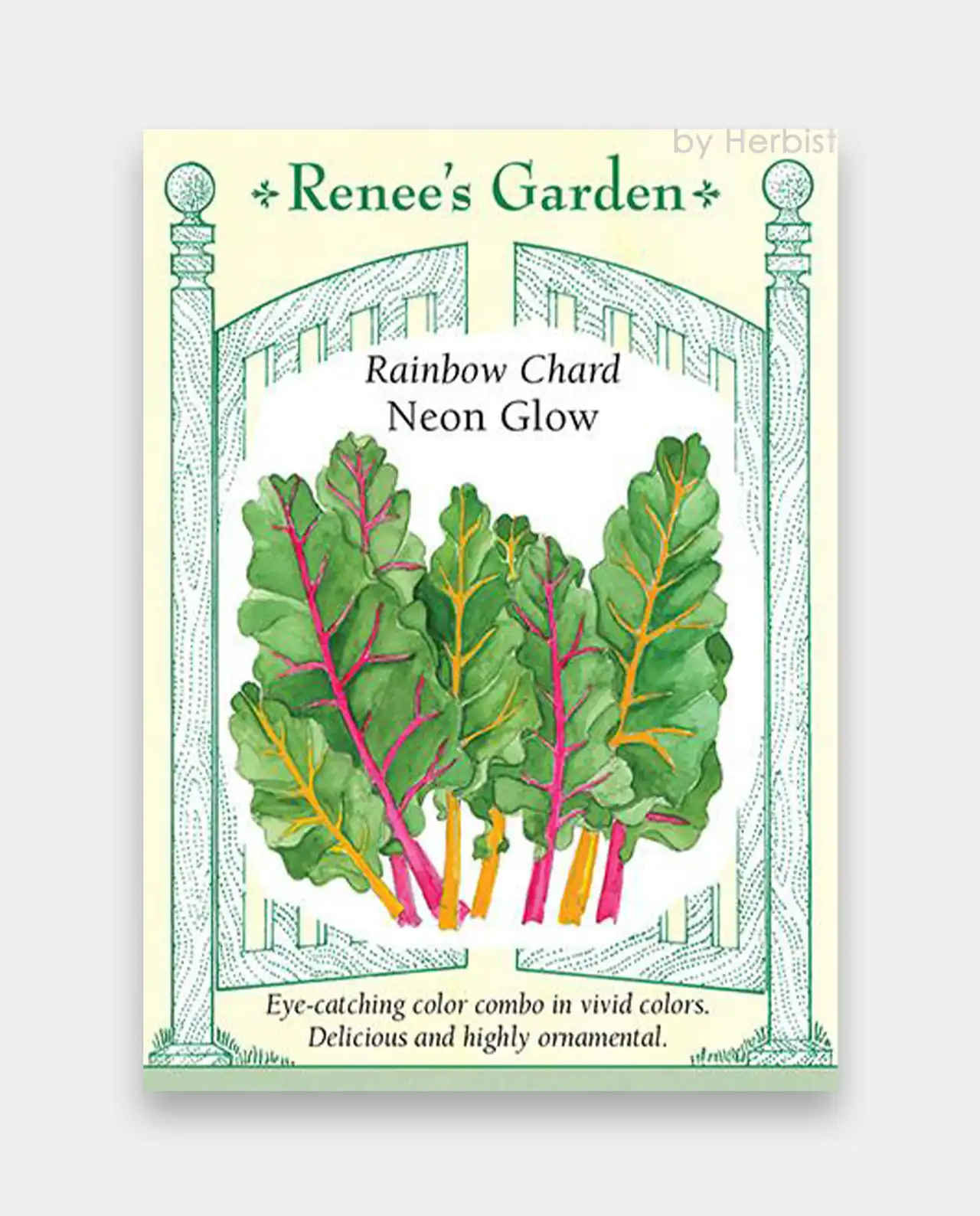 ชาร์ด Rainbow Chard Neon Glow