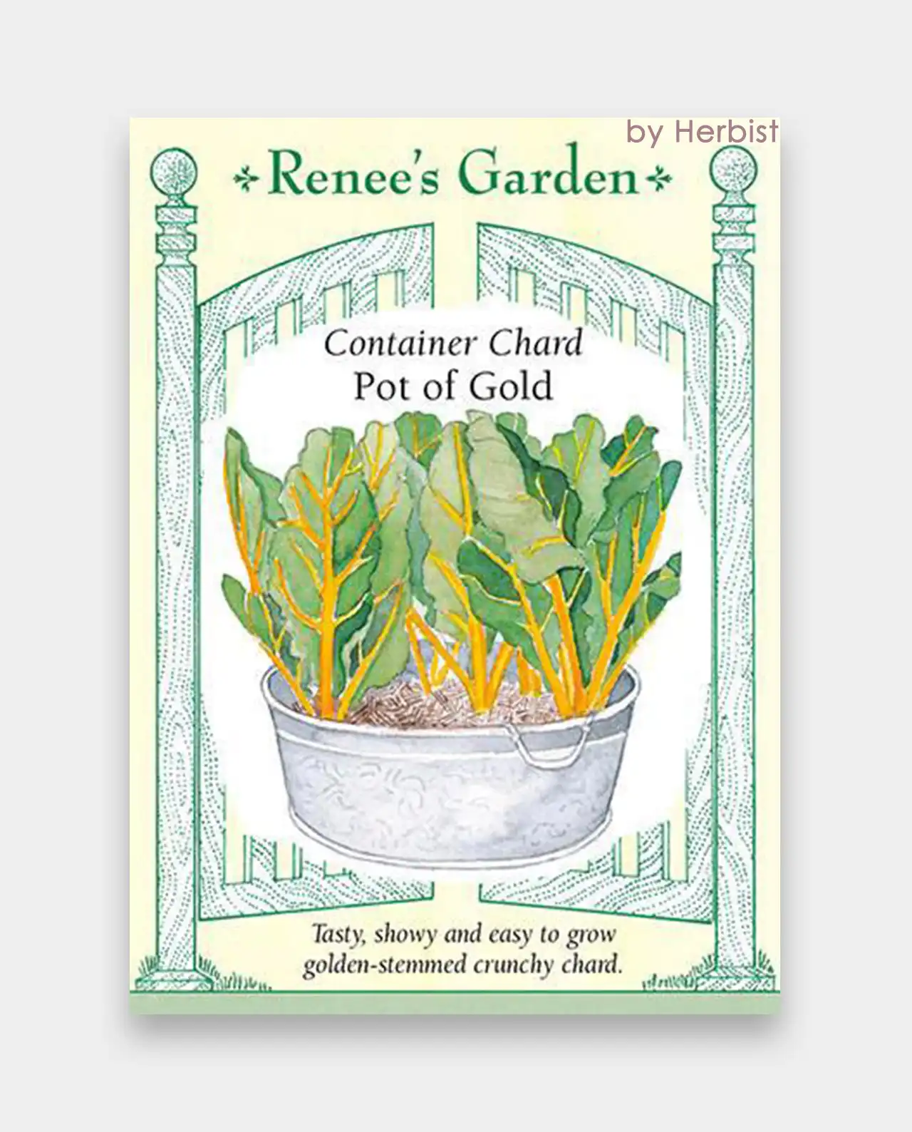 ชาร์ด Pot of Gold Container Chard