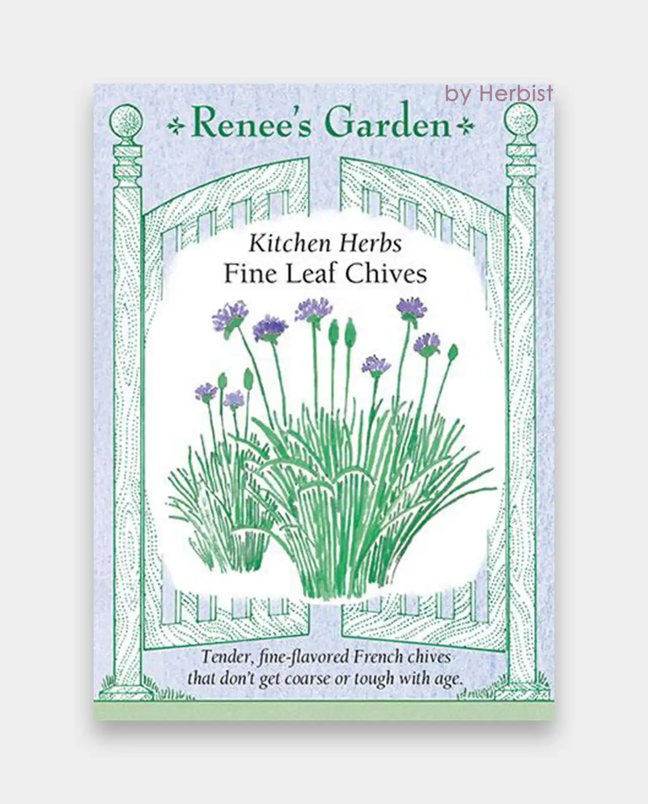 ไชว์ฟ Fine Leaf Chives