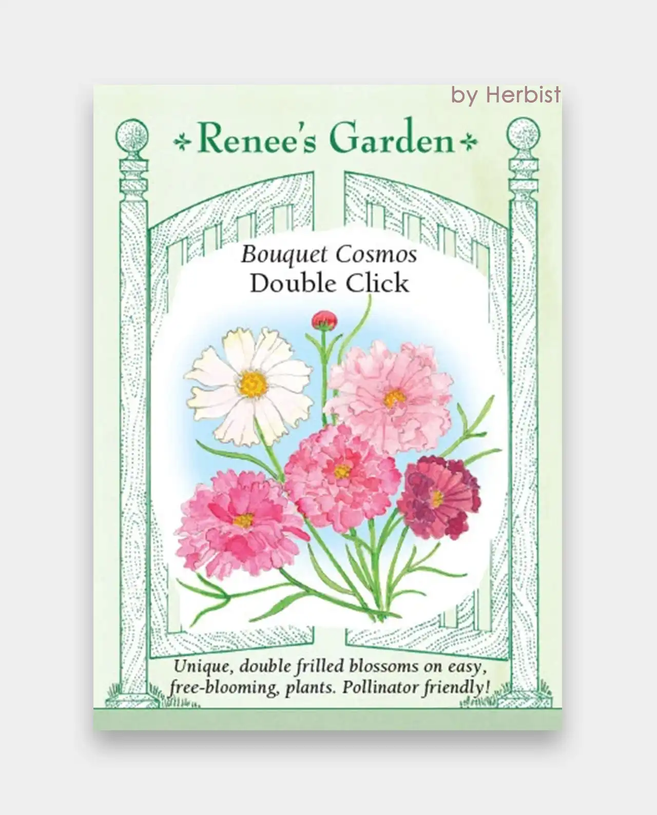 คอสมอส Double Click Bouquet Cosmos