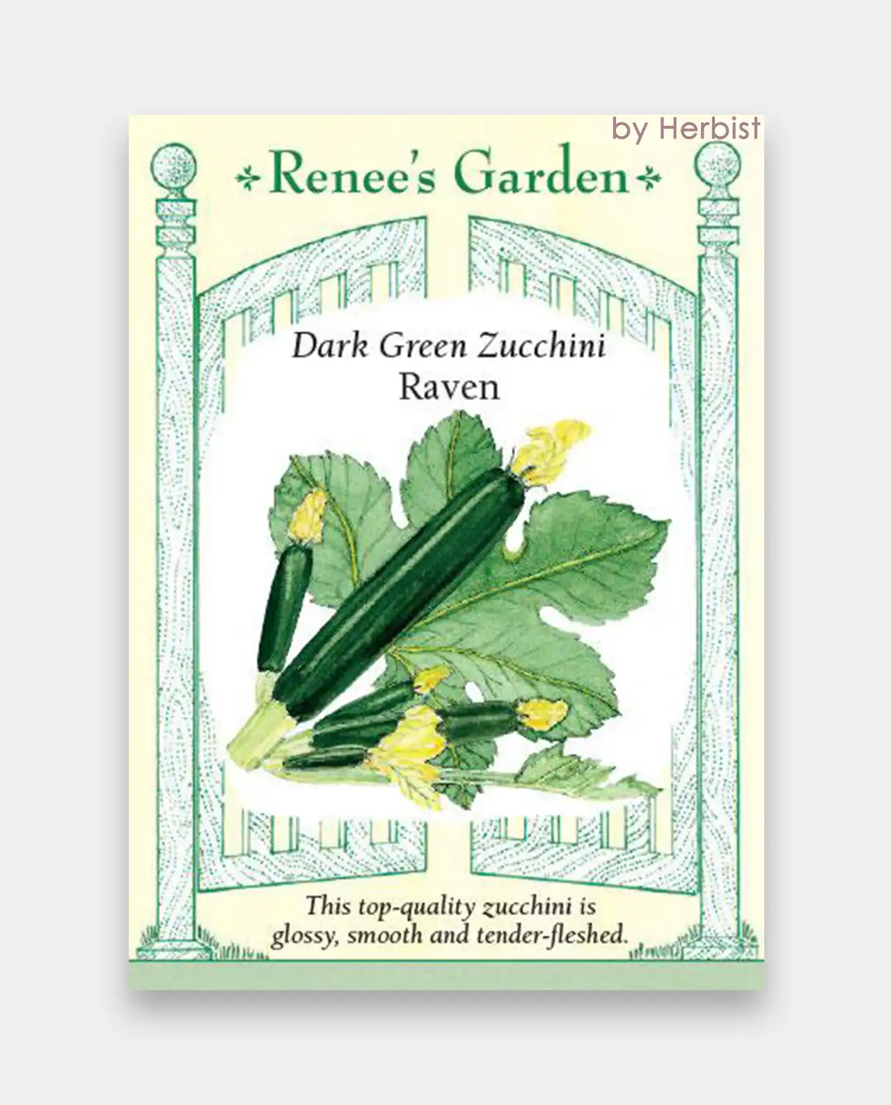 ซุกินี Raven Dark Green Zucchini