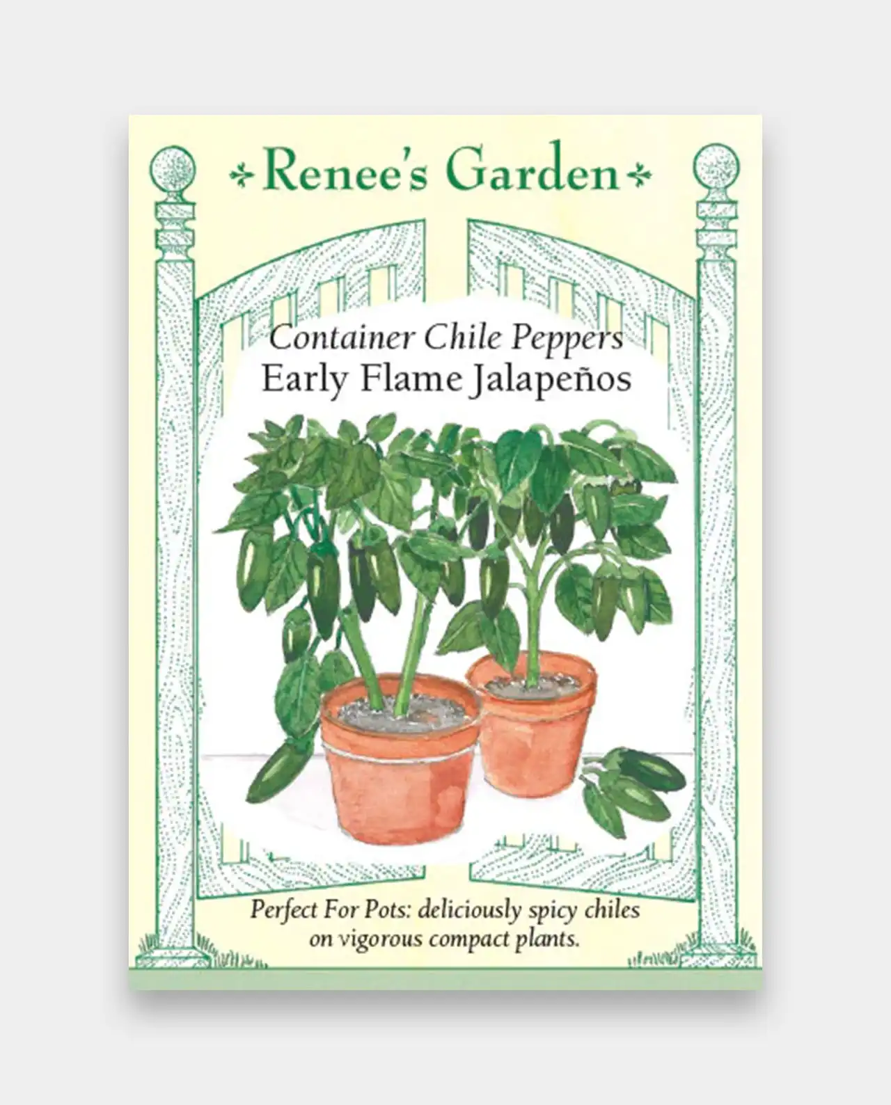 พริกฮาลาเปญโญ Early Flame Jalapenos