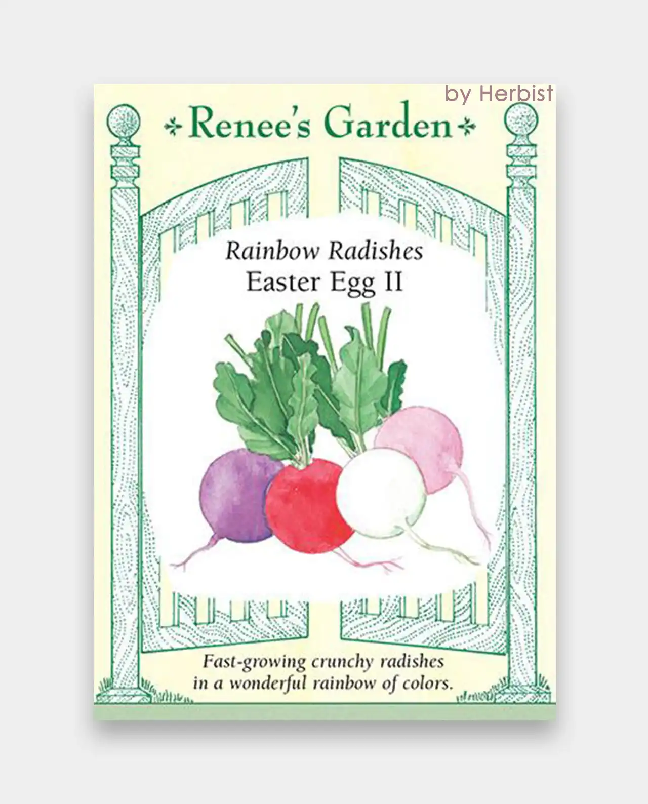 แรดิช Rainbow Radishes Easter Egg II
