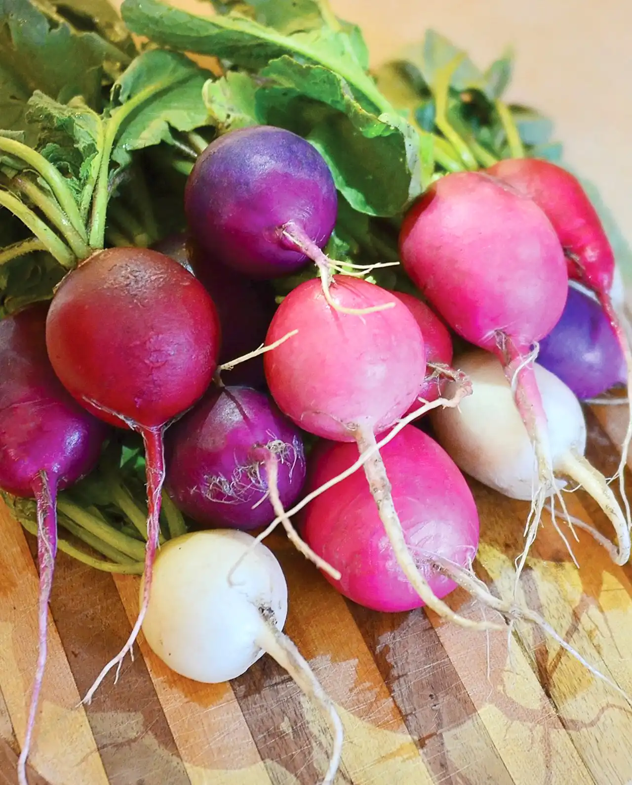 แรดิช Rainbow Radishes Easter Egg II