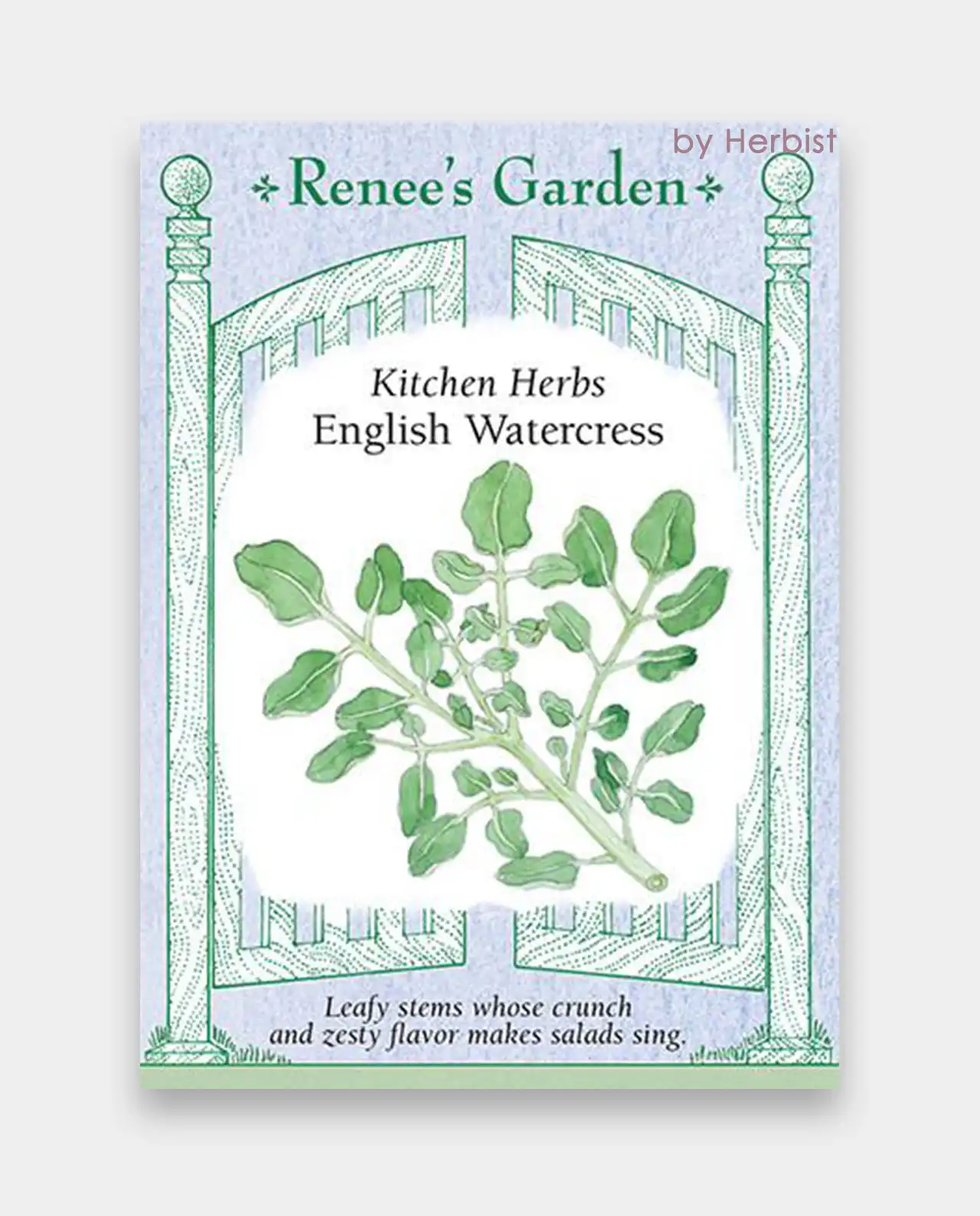 วอเตอร์เครส English Watercress