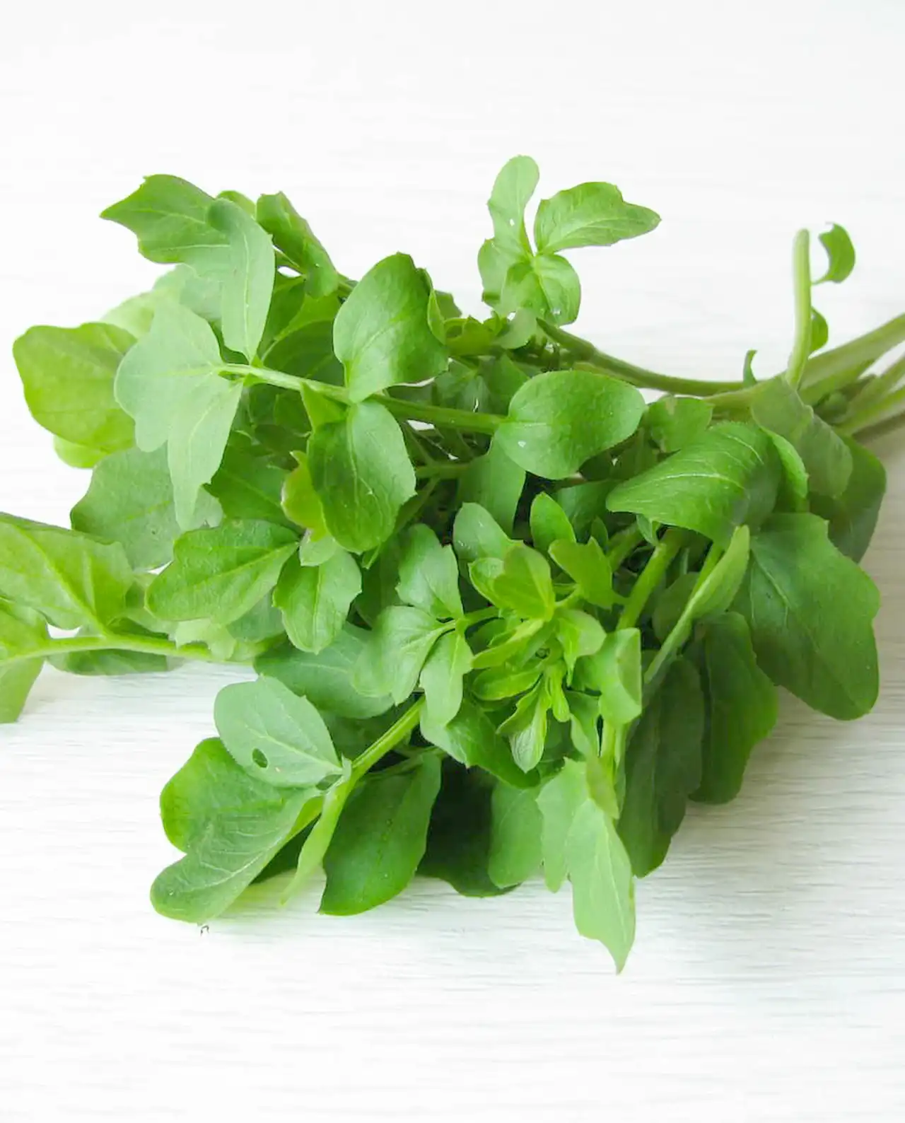 วอเตอร์เครส English Watercress