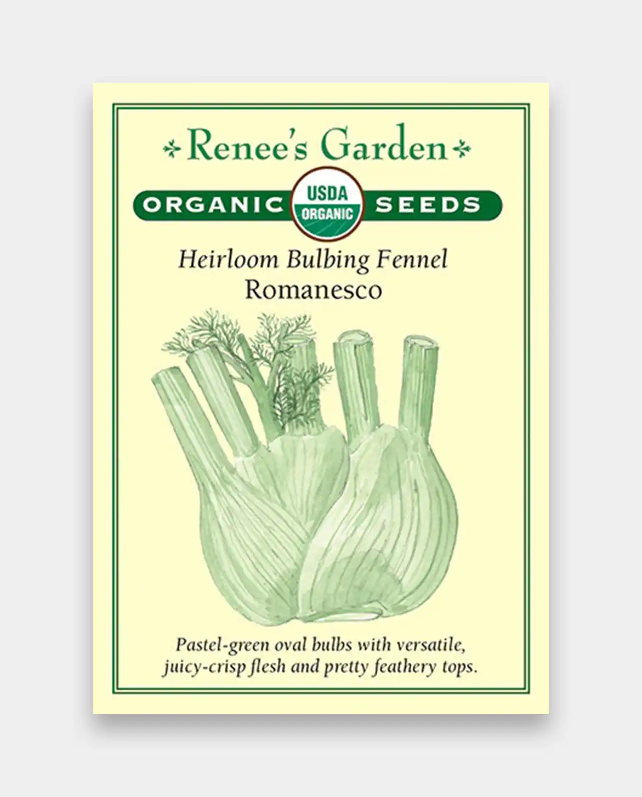 หัวเฟนเนล ออร์แกนิค Bulbing Fennel Romanesco