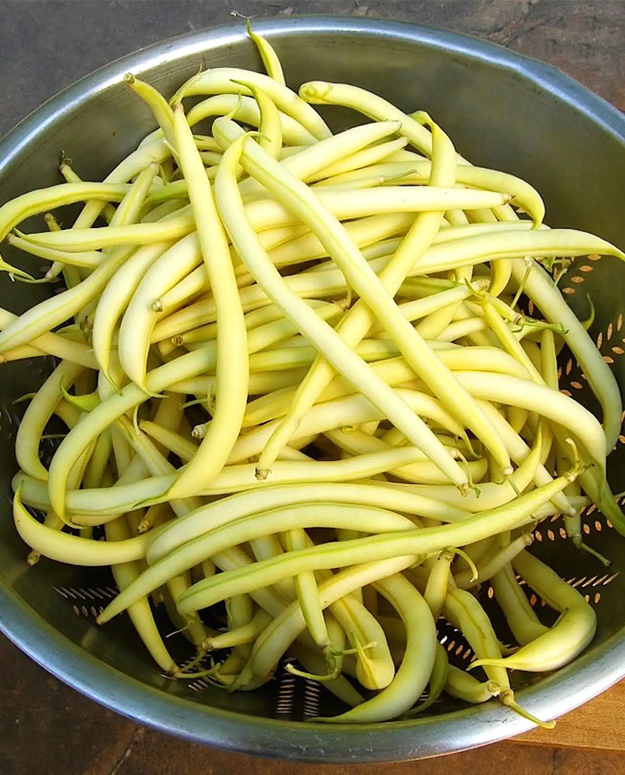 ถั่วริบบิ้น Pole Filet Beans French Gold