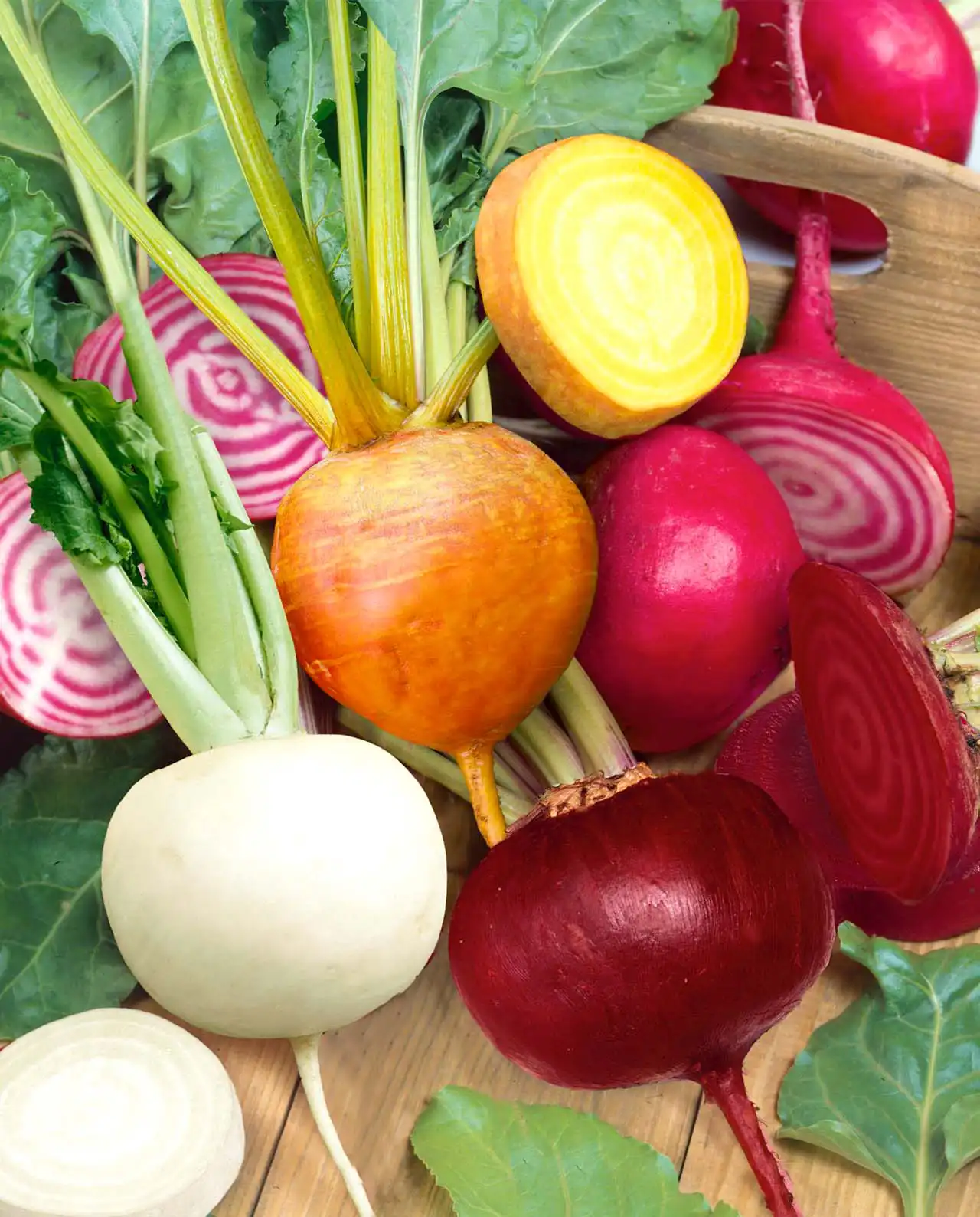 บีท Five Color Rainbow Beets