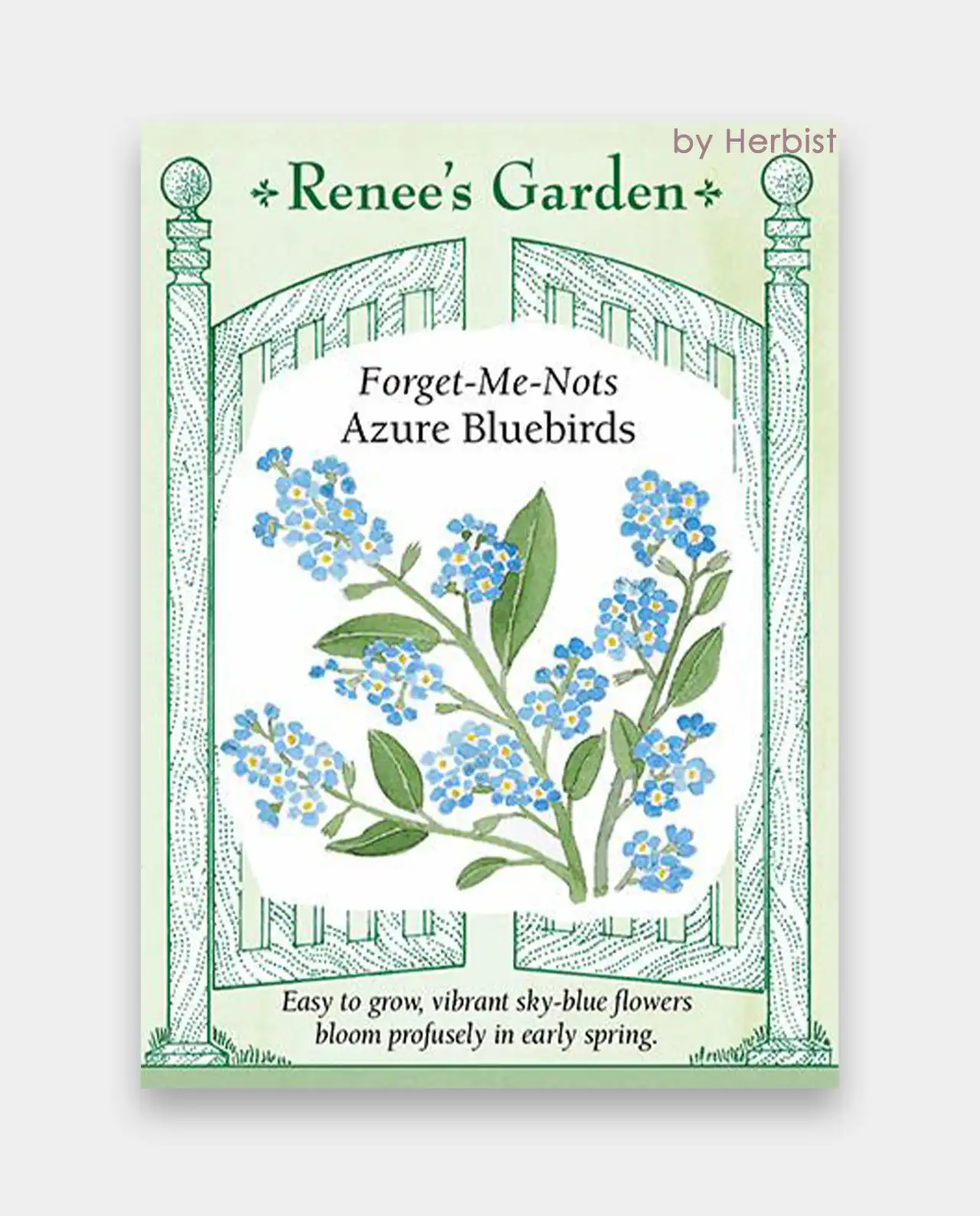 ฟอร์เก็ตมีน็อต Forget-Me-Nots Bluebirds