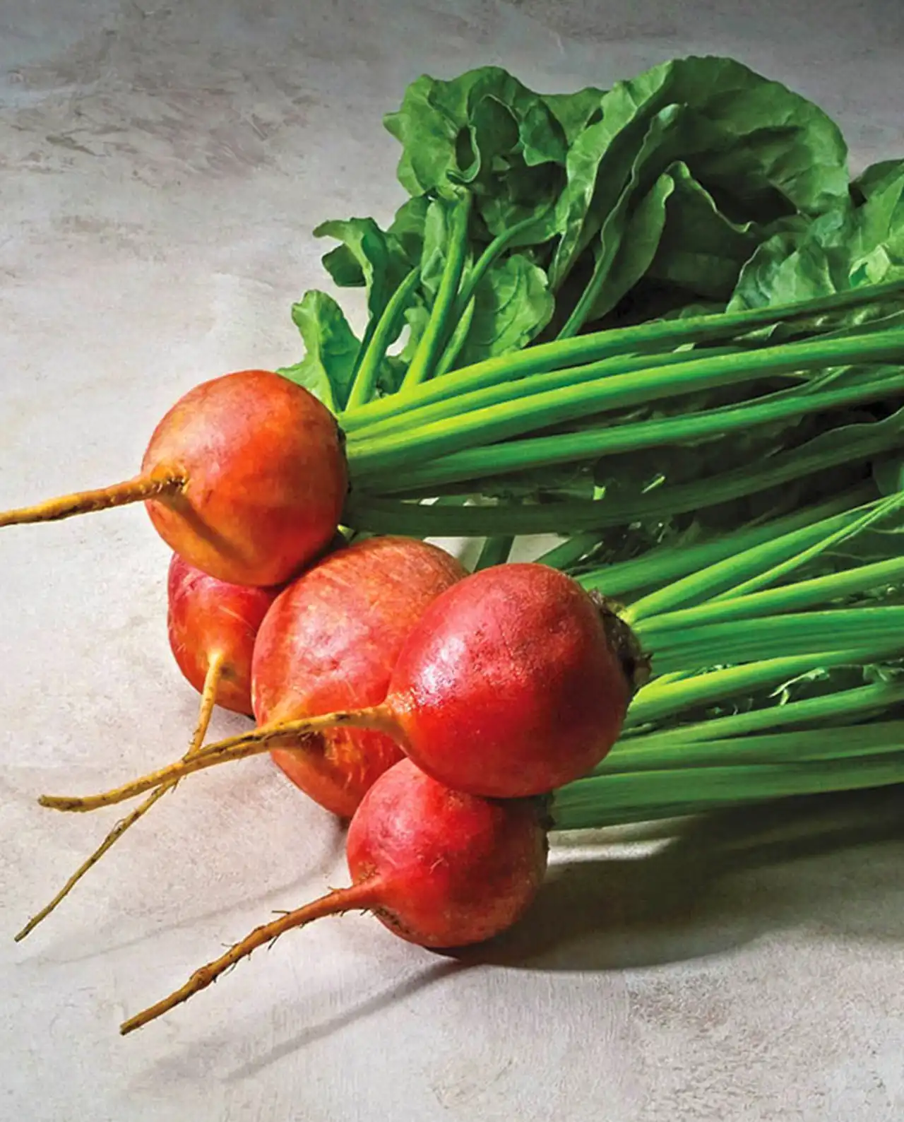 บีท Golden Gourmet Beets