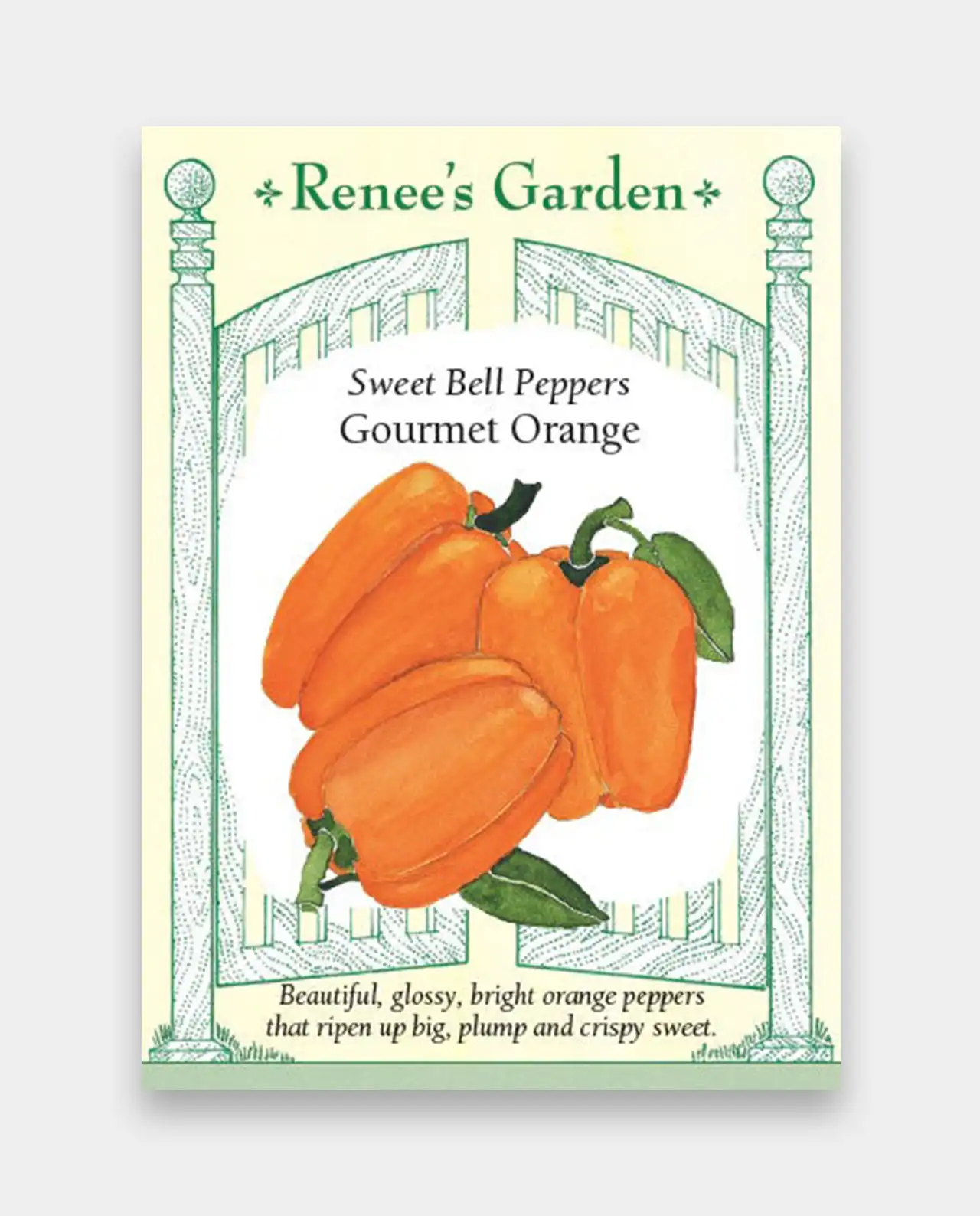 พริกหวาน Orange Sweet Bell Peppers