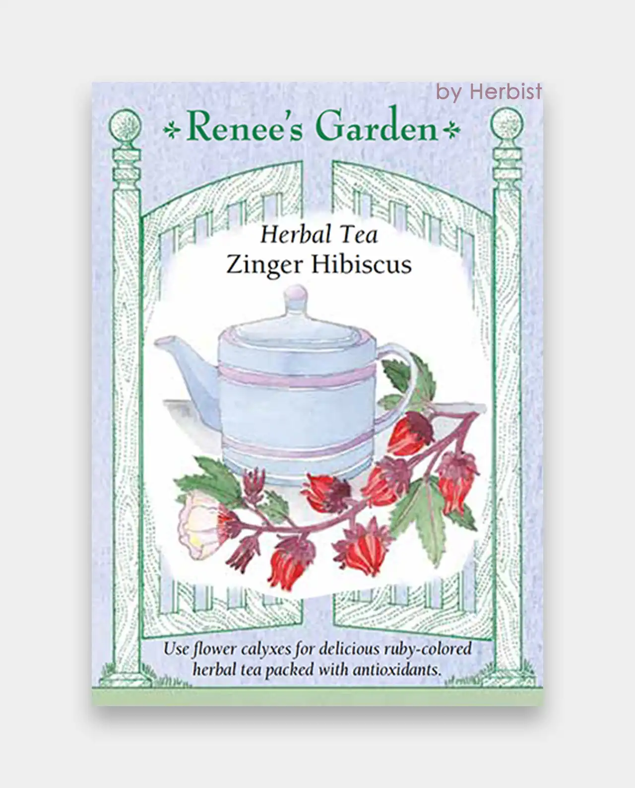 ฮิบิคัส Zinger Hibiscus