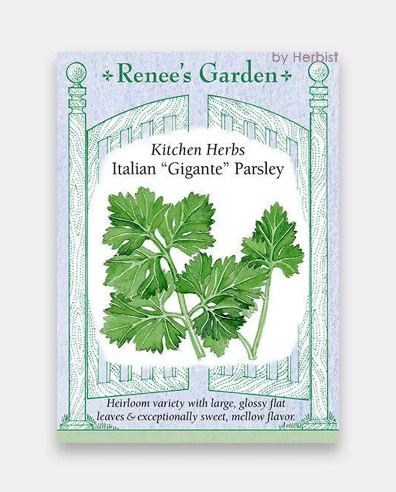 พาร์สลีย์ Italian Gigante Parsley