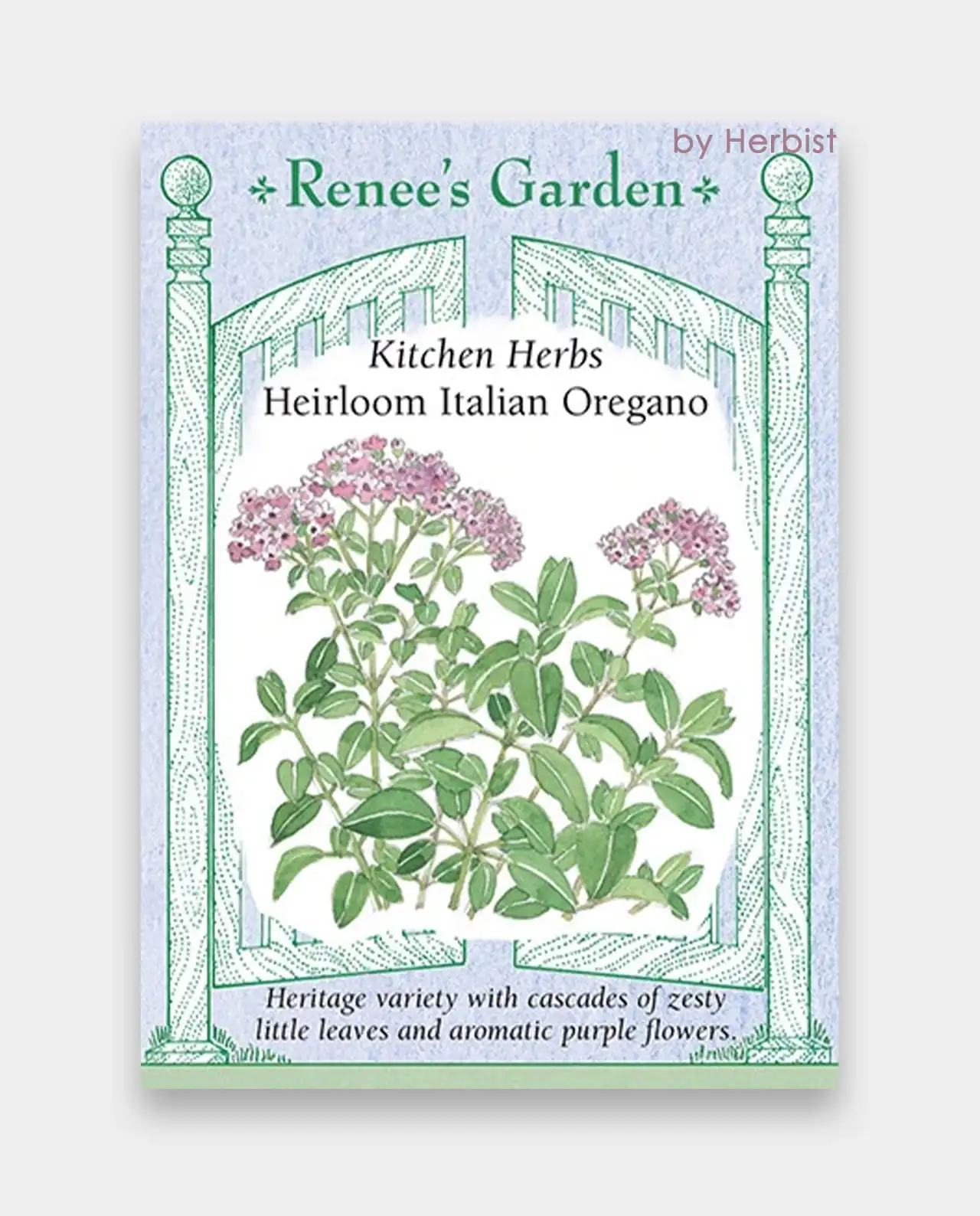 ออริกาโน่ Italian Oregano