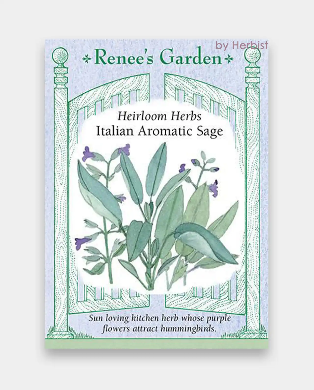 เสจ Italian Aromatic Sage