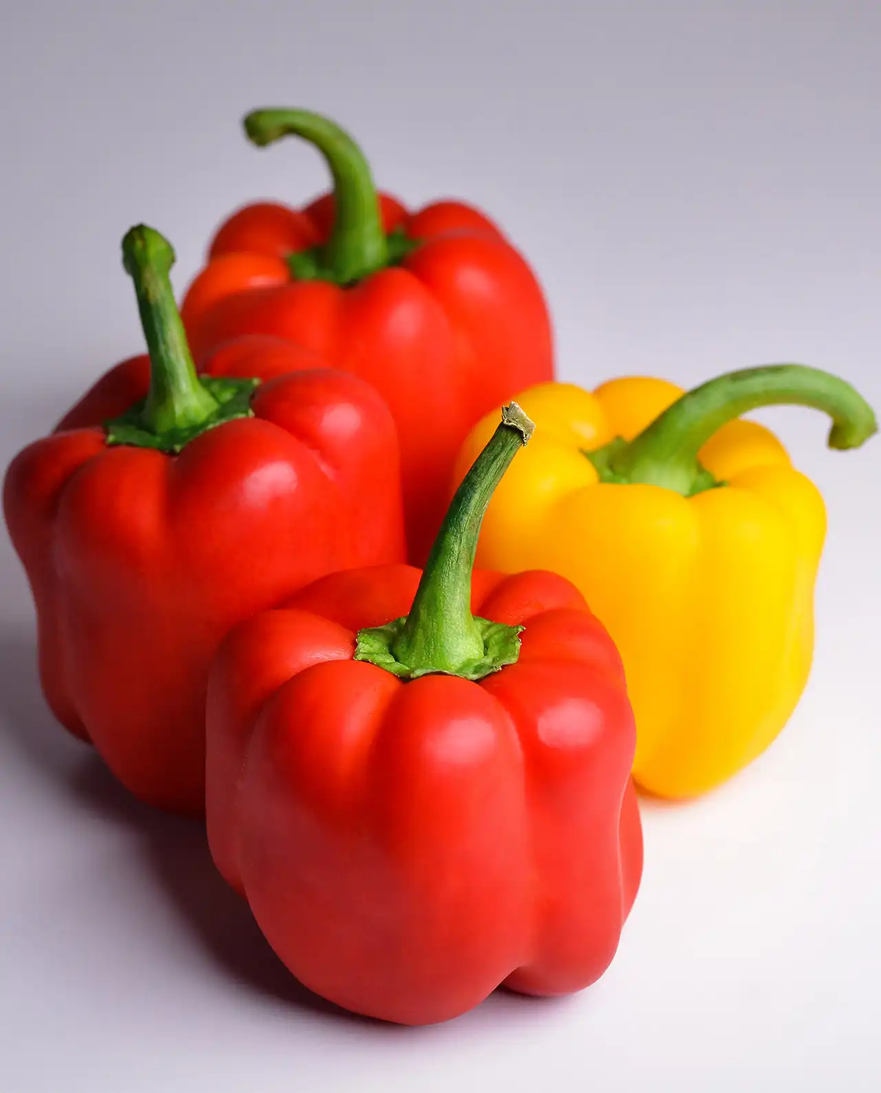พริกหวาน Jewel-Toned Bell Peppers
