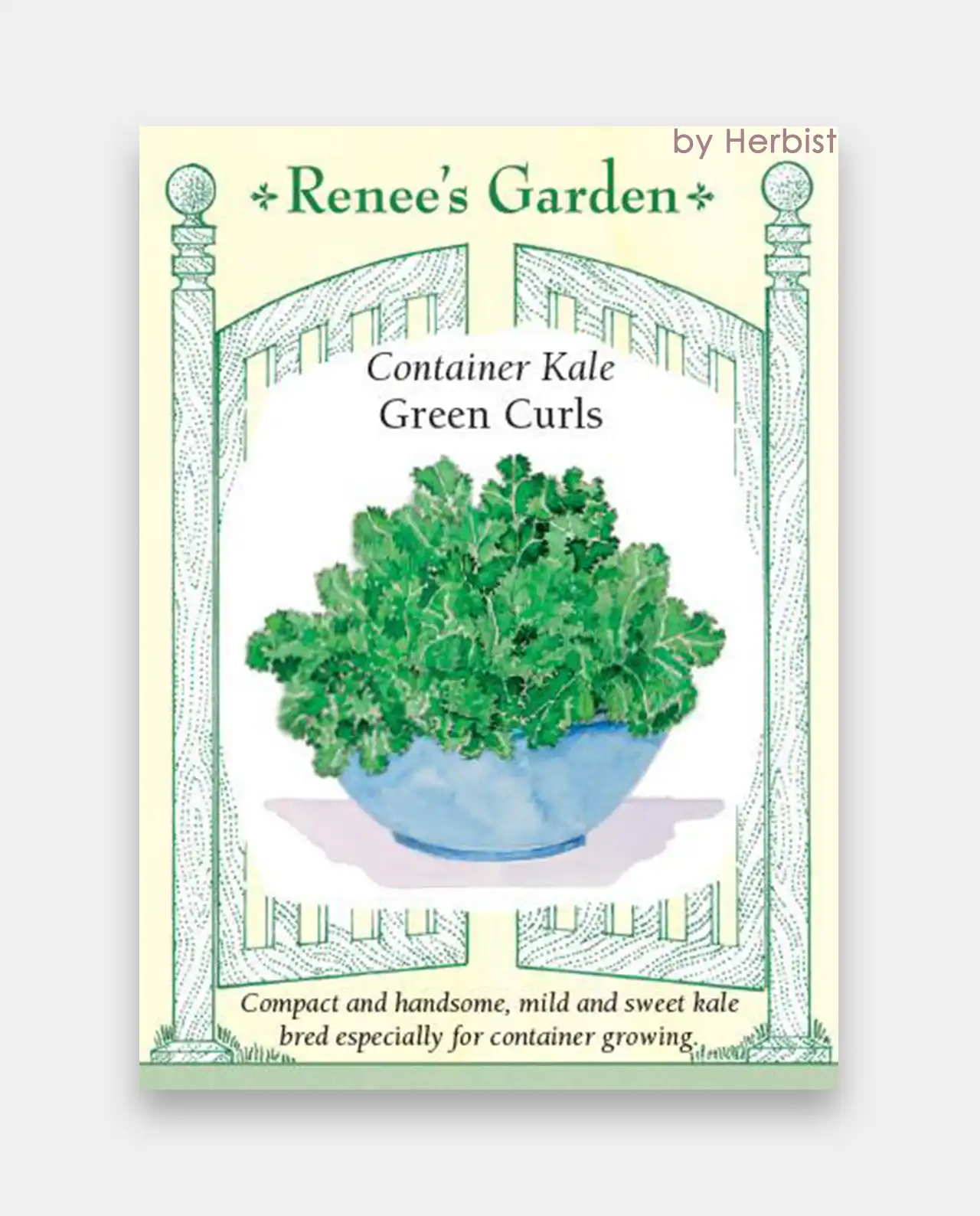 เคลใบหยิก Green Curls Container Kale
