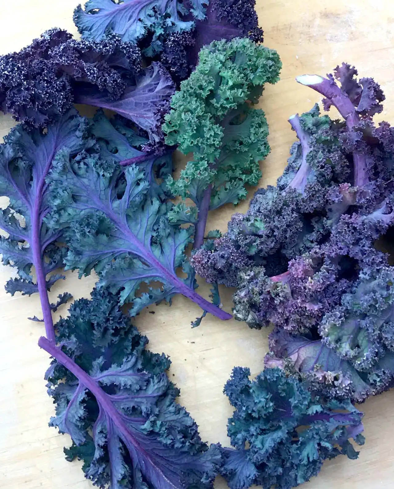 เคล ออร์แกนิค Gourmet Kale Purple Moon