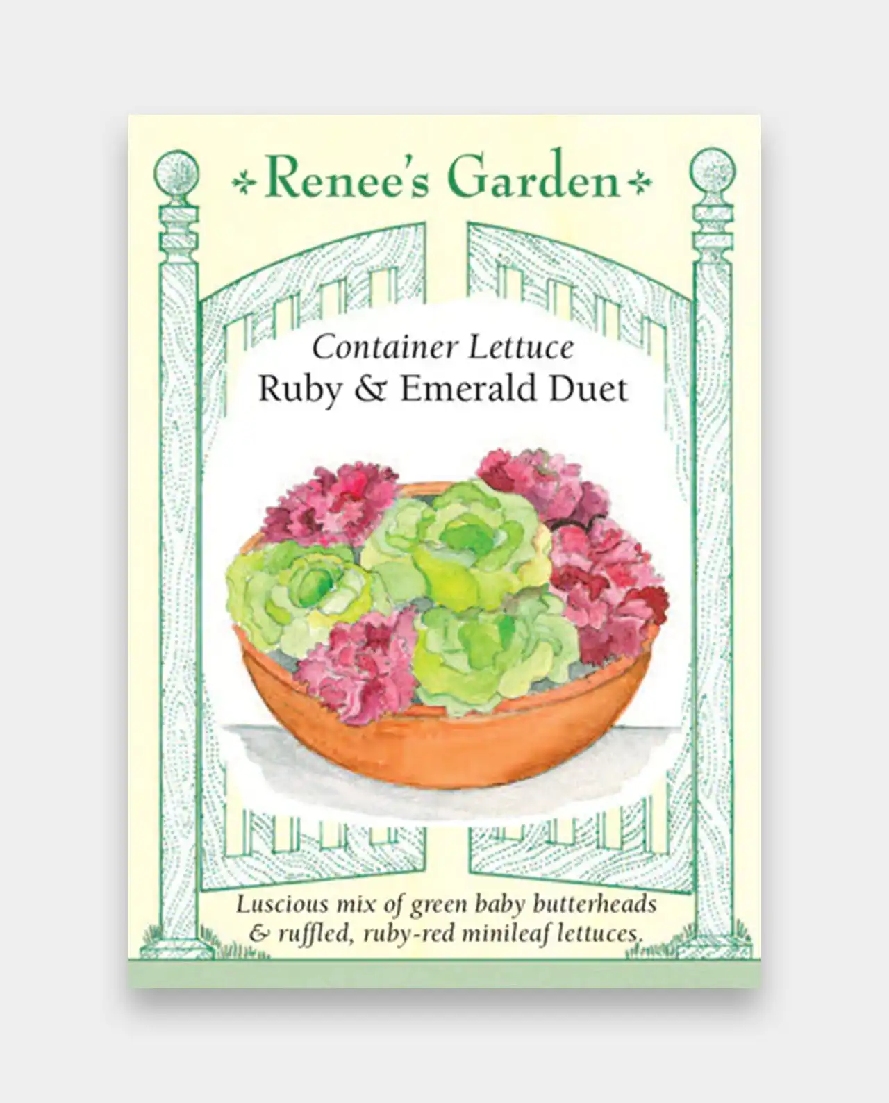 ผักกาดหอม ผักสลัด Ruby Emerald Duet