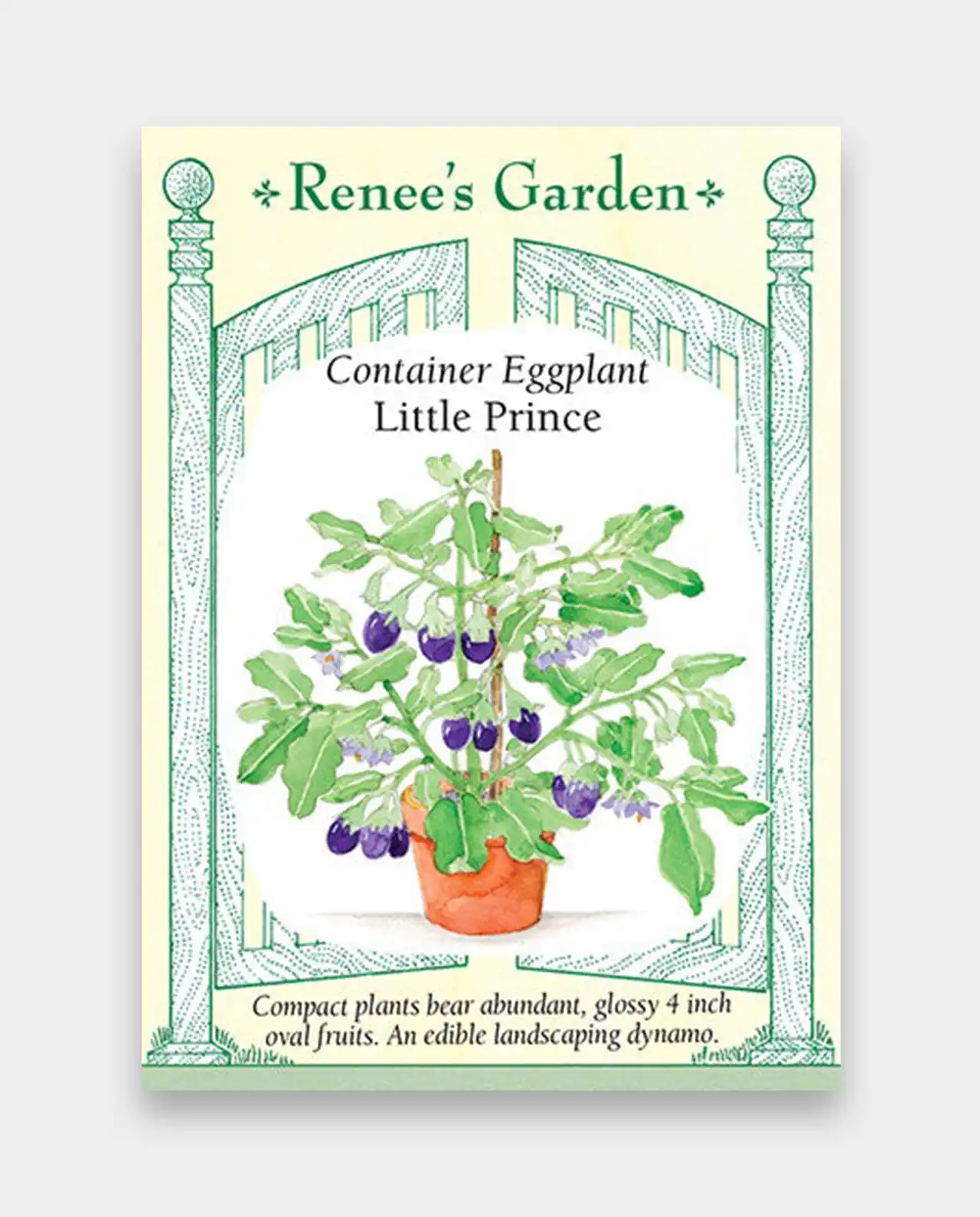 มะเขือม่วง Eggplant Little Prince