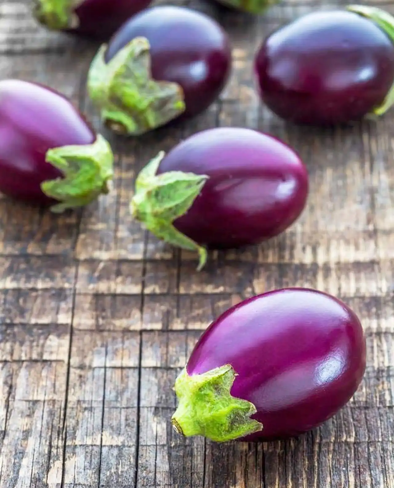 มะเขือม่วง Eggplant Little Prince