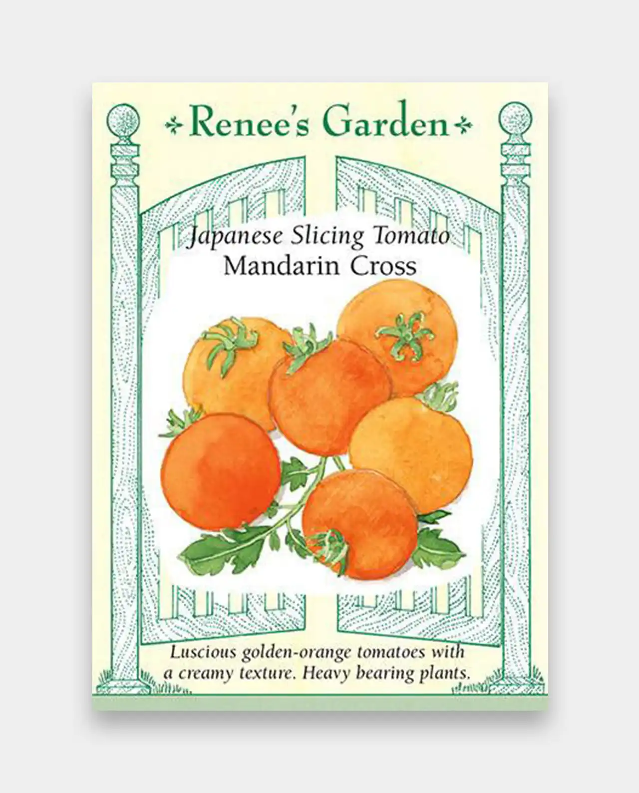 มะเขือเทศ Japanese Tomato Mandarin Cross