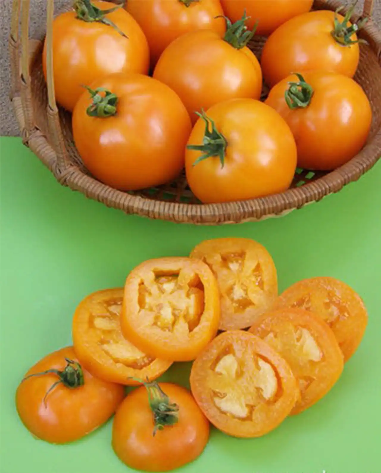มะเขือเทศ Japanese Tomato Mandarin Cross