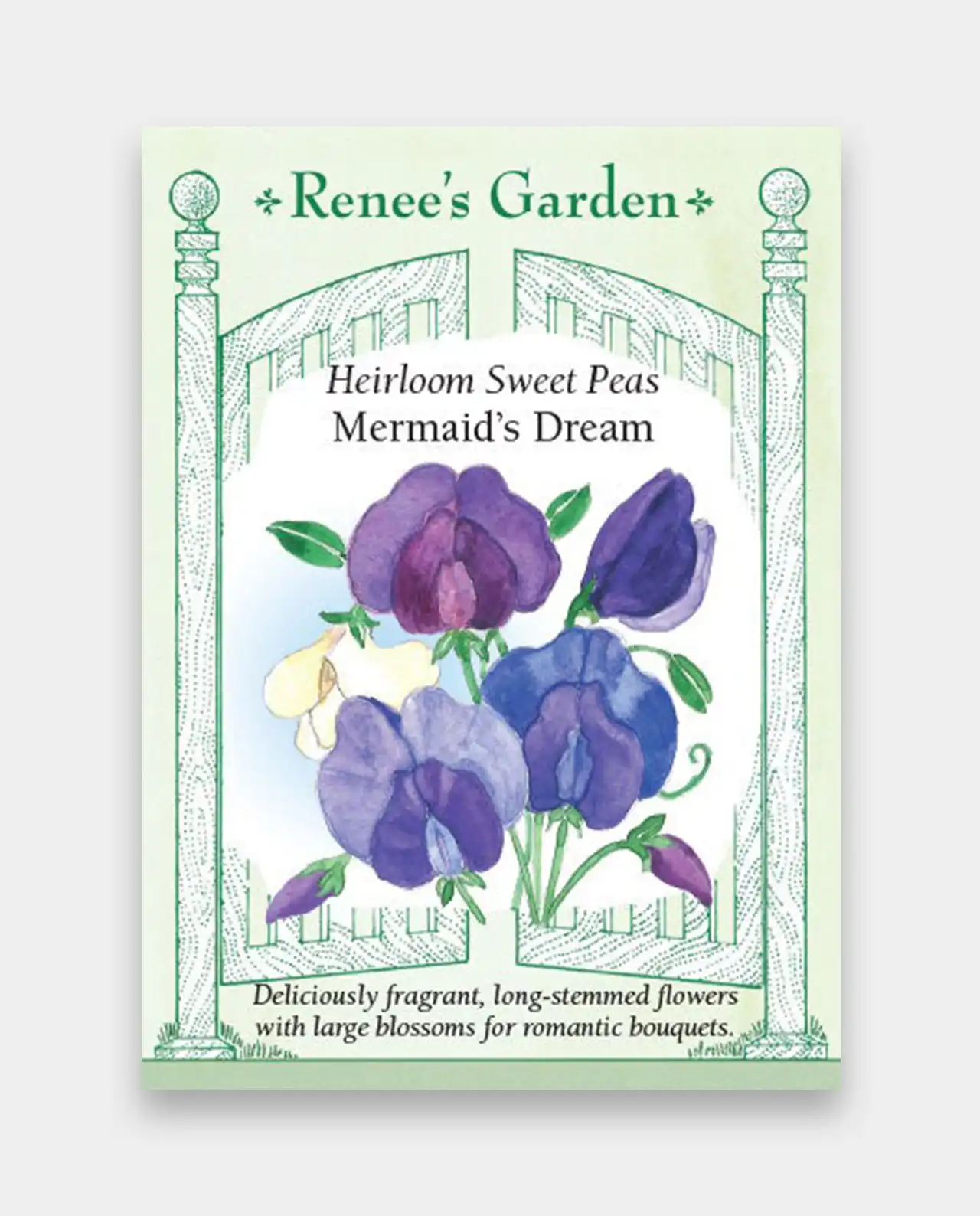 สวีทพี Sweet Peas Mermaids Dream